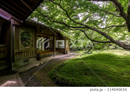 苔庭のある寺院として知られる最勝寺茶室と苔庭【茨城県筑西市】 114040638