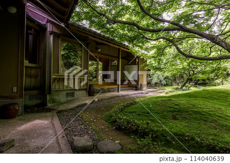 苔庭のある寺院として知られる最勝寺茶室と苔庭【茨城県筑西市】 苔庭のある寺院として知られる最勝寺茶室と苔庭【茨城県筑西市】 114040639