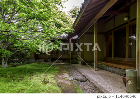 苔庭のある寺院として知られる最勝寺茶室と苔庭【茨城県筑西市】 114040640