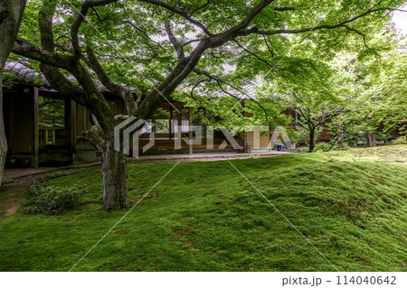 苔庭のある寺院として知られる最勝寺【茨城県筑西市】 114040642