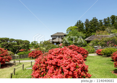 好文亭とつつじ【春の日本三大公園の偕楽園、水戸市】 114040681