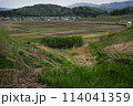 A Japanese rice farm in a small village 114041359