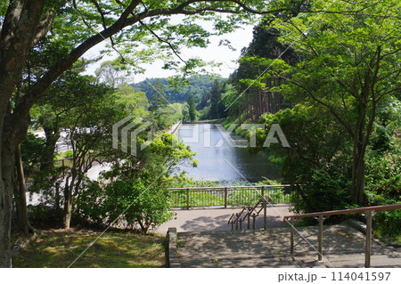 青葉城お堀の景色 114041597