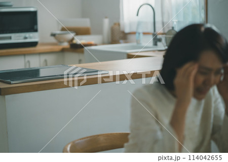電磁波過敏症 114042655