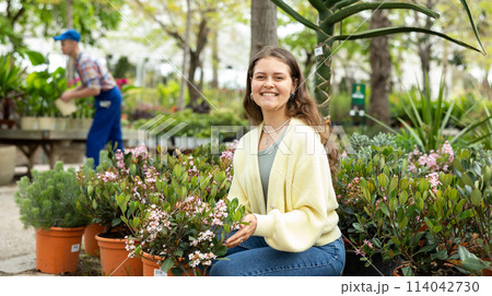 In flower shop, girl chooses flowering rhaphiolepis plant for outdoor garden decor In flower shop, girl chooses flowering rhaphiolepis plant for outdoor garden decor 114042730