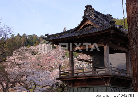 山梨県韮崎市旭町上條南割 桜の名所蕃竹山大公寺の鐘楼と桜 山梨県韮崎市旭町上條南割 桜の名所蕃竹山大公寺の鐘楼と桜 114042791