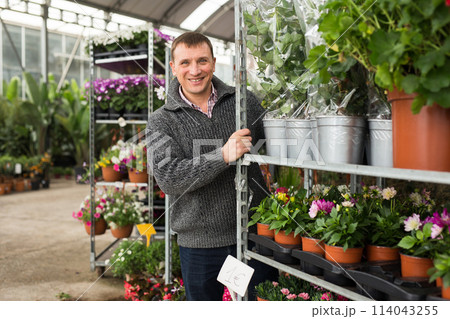 Cheerful man carrying trolley with plants in flower shop 114043255