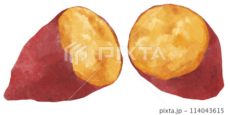 焼き芋　水彩タッチ 114043615