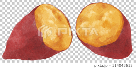 焼き芋　水彩タッチ 114043615