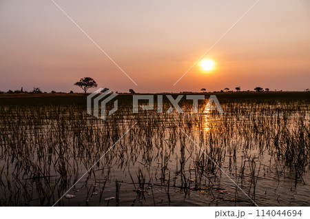 Sunset in the Okavango Delta Sunset in the Okavango Delta 114044694