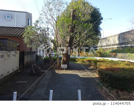 世田谷区岡本にある第六天の森 世田谷区岡本にある第六天の森 114044705