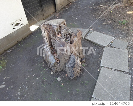 世田谷区岡本にある第六天の森 世田谷区岡本にある第六天の森 114044706