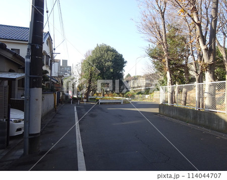 世田谷区岡本にある謎の第六天の森の呪いの木 世田谷区岡本にある謎の第六天の森の呪いの木 114044707