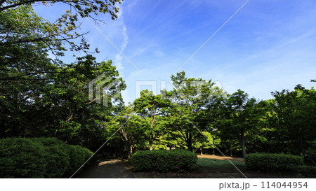 横浜市戸塚区舞岡の舞岡ふるさと公園の春 114044954