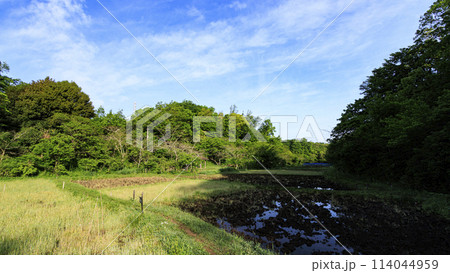 横浜市戸塚区舞岡の舞岡ふるさと公園の春 114044959