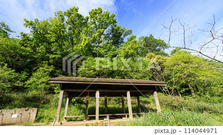 横浜市戸塚区舞岡の舞岡ふるさと公園の春 横浜市戸塚区舞岡の舞岡ふるさと公園の春 114044971