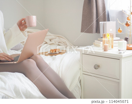 部屋でノートパソコンを使う女性 部屋でノートパソコンを使う女性 114045071