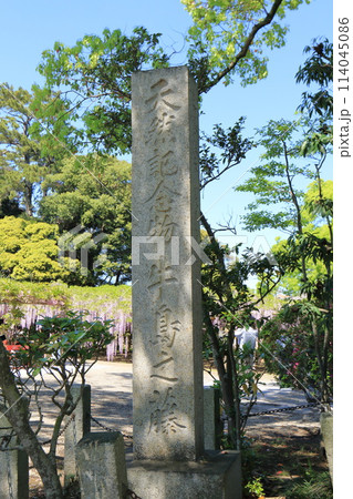 藤花園 牛島の藤 埼玉県春日部市 藤花園 牛島の藤 埼玉県春日部市 114045086