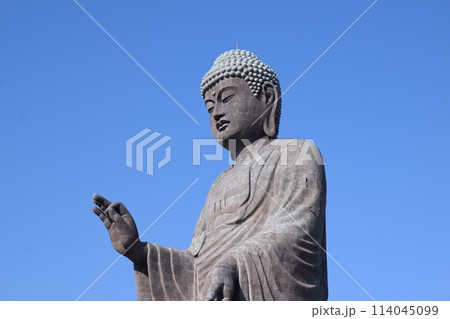 牛久大仏 世界最大のブロンズ立像 114045099