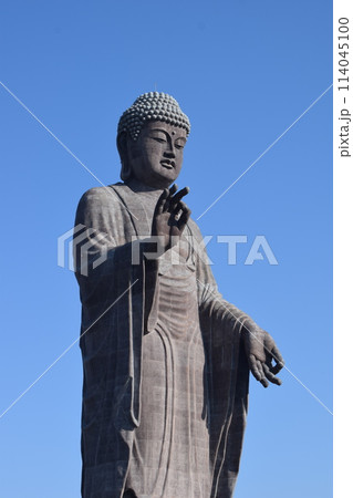 牛久大仏 世界最大のブロンズ立像 114045100