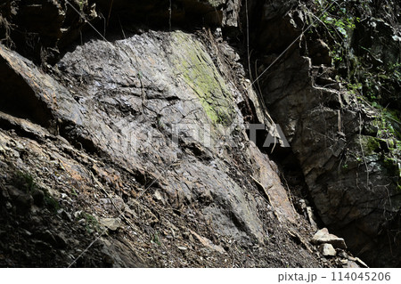林道脇の岩肌 林道脇の岩肌 114045206