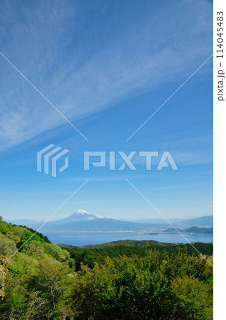 伊豆山稜トレイルから見た富士山 114045483