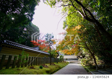 秋の秋篠寺・静寂の参道 114045624