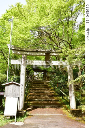 京都市 山科聖天(双林院)の鳥居と新緑 京都市 山科聖天(双林院)の鳥居と新緑 114045630