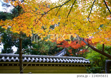奈良・秋篠寺・屋根にかかる紅葉 奈良・秋篠寺・屋根にかかる紅葉 114045631