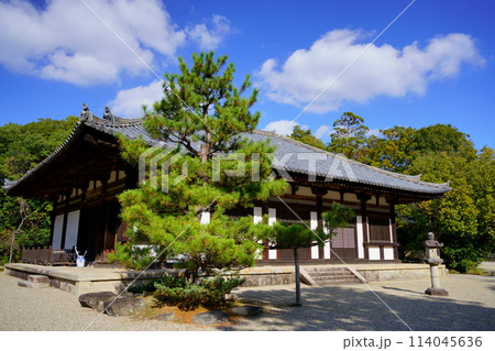 奈良のお寺・秋の秋篠寺本堂 114045636