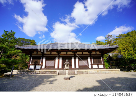 奈良のお寺・秋の秋篠寺本堂 114045637