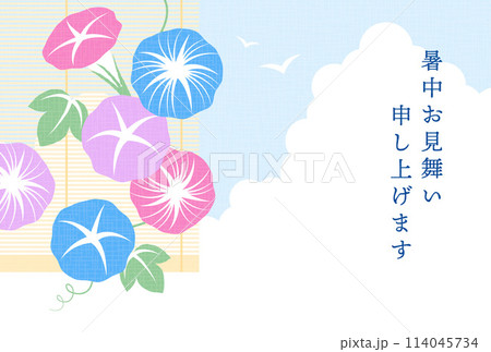 朝顔と入道雲と空の背景イラスト 114045734