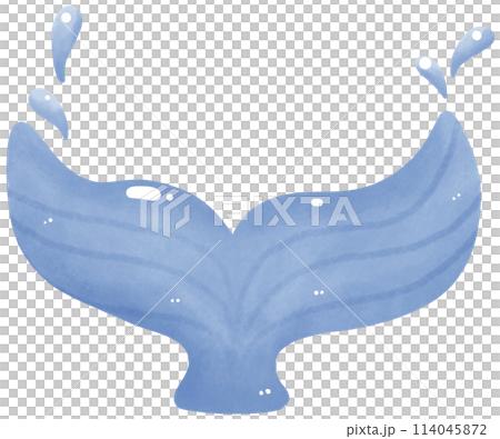Blue whale tail 114045872