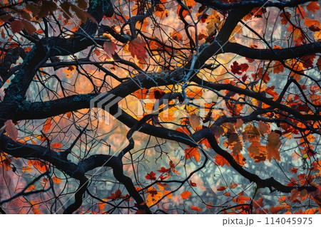 Abstract Art of Autumn: Branches and Leaves 114045975