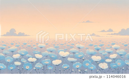 夕方のネモフィラ畑 114046016