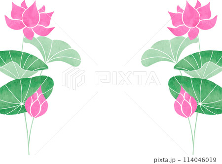 蓮のフレーム 蓮のフレーム 114046019