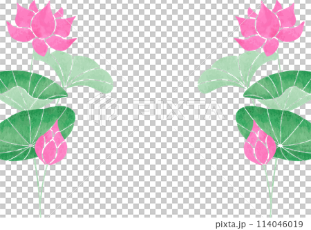 蓮のフレーム 蓮のフレーム 114046019