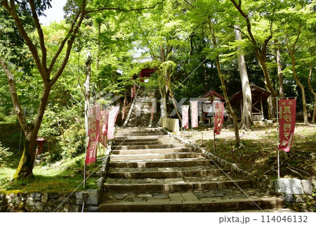 京都市　山科毘沙門堂参道と新緑 114046132
