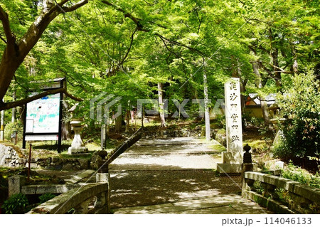 京都市 山科毘沙門堂の極楽橋と新緑 京都市 山科毘沙門堂の極楽橋と新緑 114046133