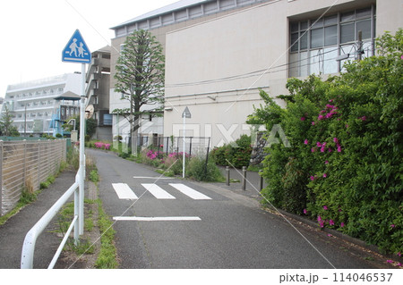 道路標識(横断歩道) 道路標識(横断歩道) 114046537