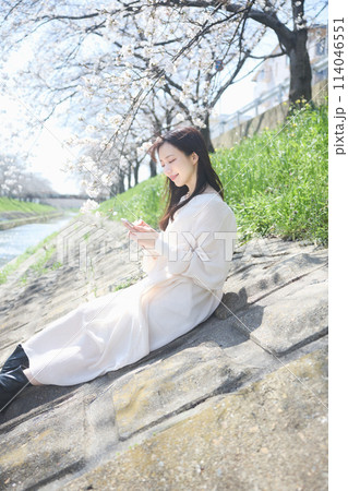桜の下でスマホを見る女性 桜の下でスマホを見る女性 114046551