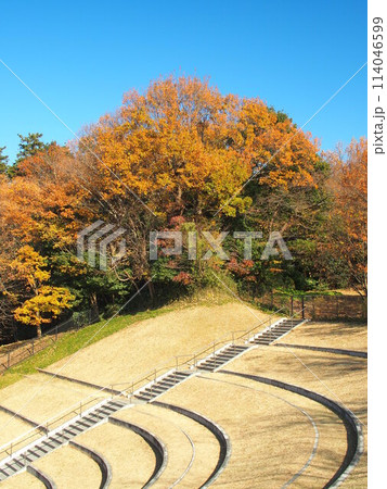冬の公園の入り口の石段風景 114046599