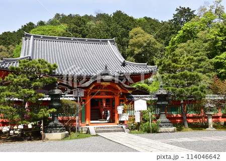 京都市　山科毘沙門堂の本殿と新緑 114046642