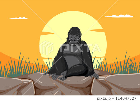 Gorilla at Sunset in Serene Nature 114047327