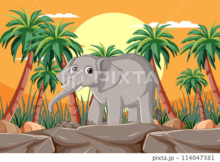 Baby Elephant in Tropical Sunset Baby Elephant in Tropical Sunset 114047381