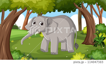 Playful Baby Elephant in Forest Playful Baby Elephant in Forest 114047383
