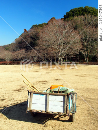 園庭作業のリヤカーのある冬の21世紀の森と広場風景	 114047568