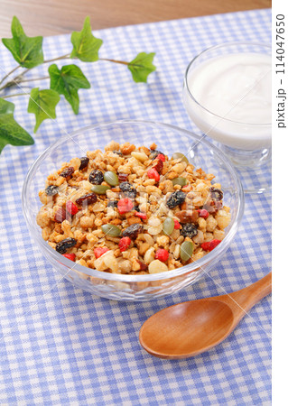 フルーツグラノーラ ヘルシーな朝食 フルーツグラノーラ ヘルシーな朝食 114047650