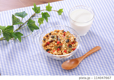 フルーツグラノーラ ヘルシーな朝食 フルーツグラノーラ ヘルシーな朝食 114047667