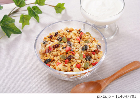 フルーツグラノーラ ヘルシーな朝食 フルーツグラノーラ ヘルシーな朝食 114047703